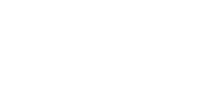 Turin Authority